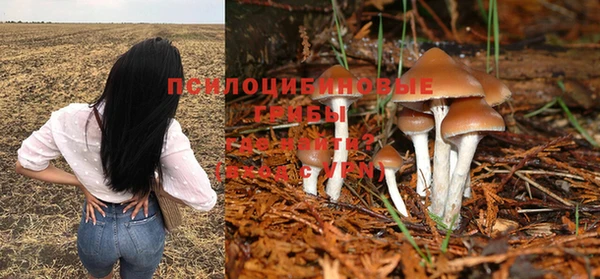 MDMA Premium VHQ Волосово